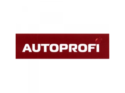 Ремкомплект Autoprofi Rem-30 standart